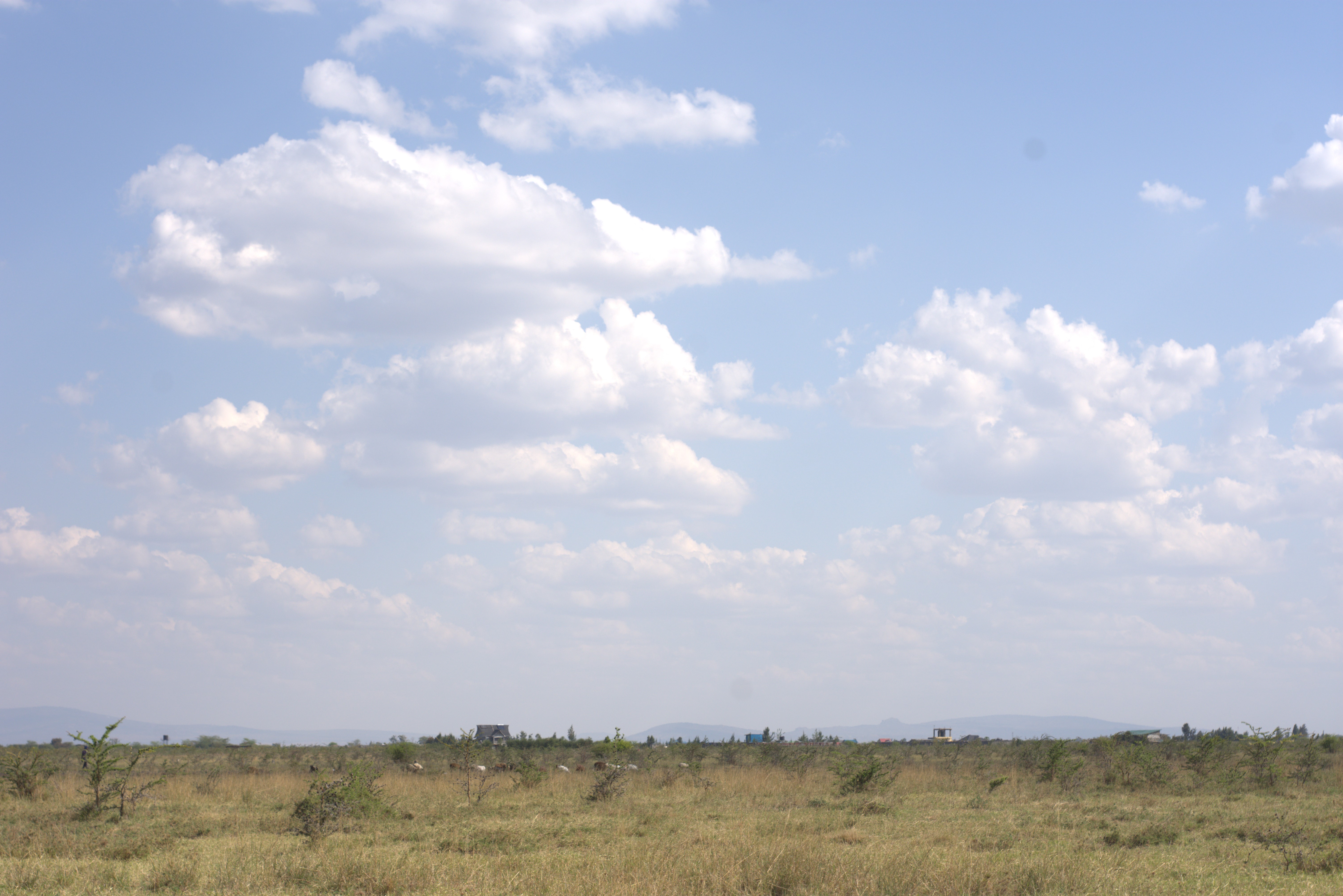 Mwalimu Farm 8